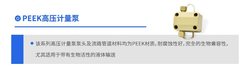 PEEK高壓計量泵